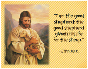 Good shepherd