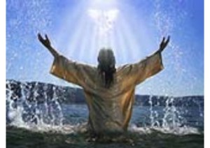 other1139345_articolo